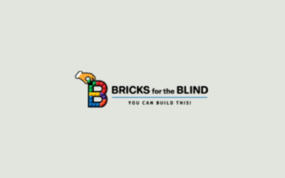 Bricks & Blinds